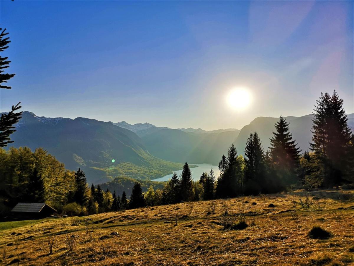 Chalet Ajda Бохин Екстериор снимка